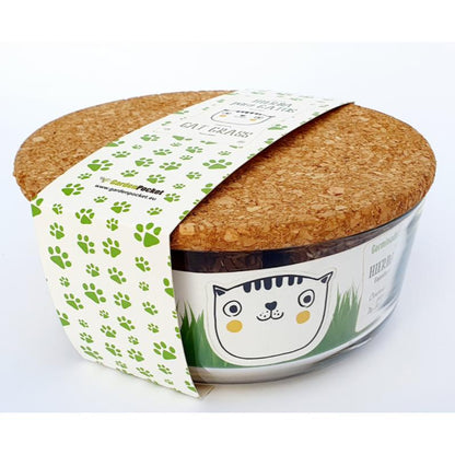 Conjunto para cultivo de relva para gatos