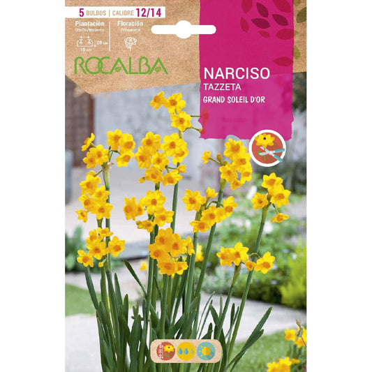 Bolbo de narciso Tazzeta Grand Soleil D'Or amarelo 5 unidades Rocalba