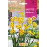 Bolbo de narciso Tazzeta Grand Soleil D'Or amarelo 5 unidades Rocalba