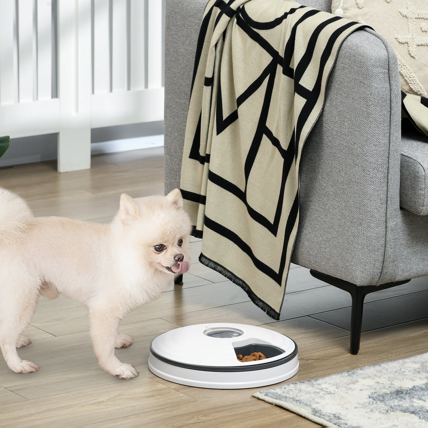 Pawhut Alimentador Automático Para Gatos Perros Temporizador Ø30,5x7,2 Cm Blanco_1