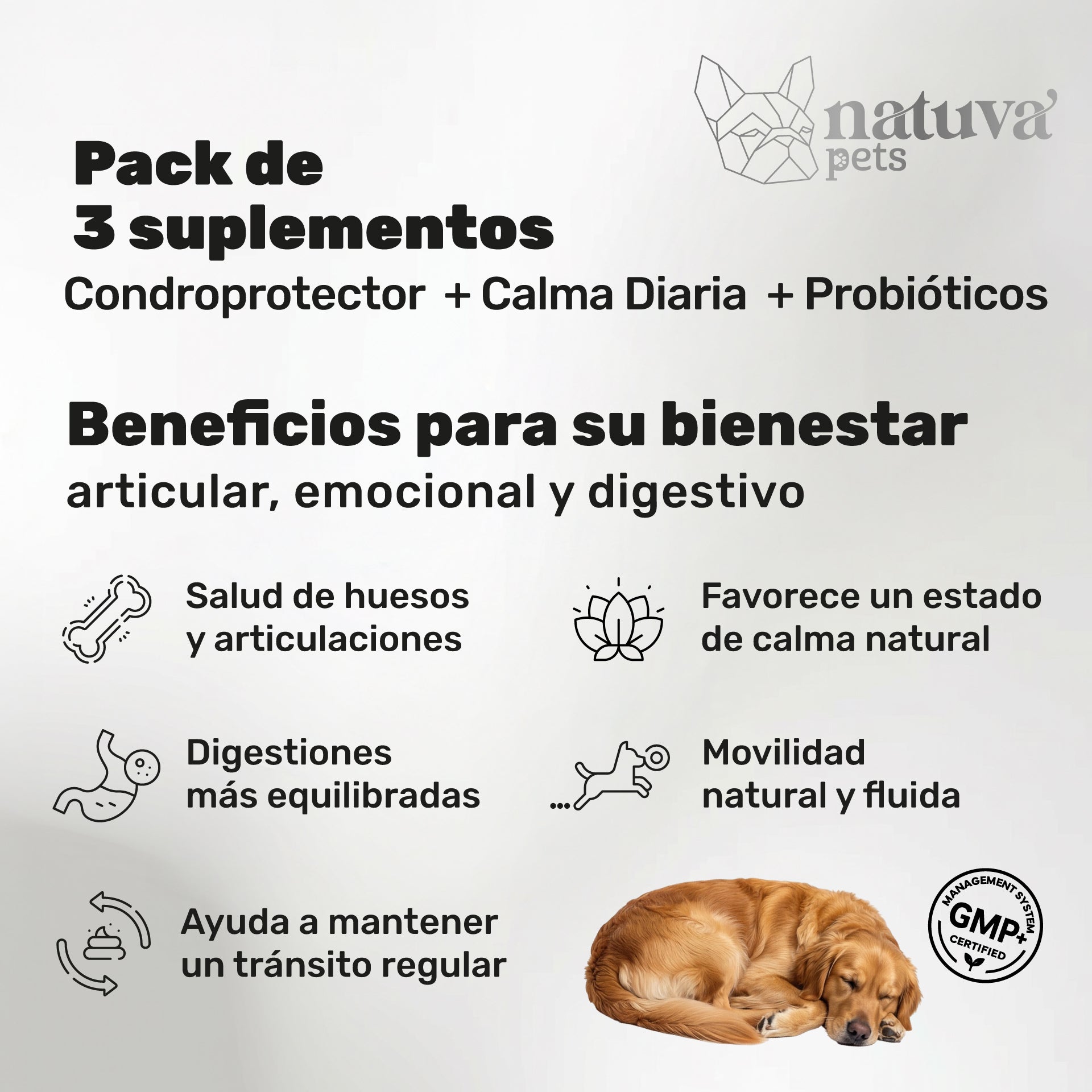 Pack Condroprotector + Calmante + Probiótico Para Perros. Suplementos Mascotas. 360 Masticables. Natuva Pets_1