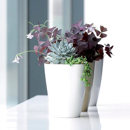 Maceta Coubi Orchid 1,6l., Dimensiones (mm) 132x132x165, Color Blanco