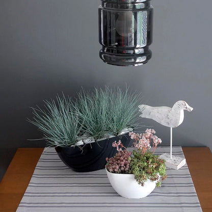 Maceta Coubi Orchid 1l., Dimensiones (mm) 198x130x102, Color Blanco