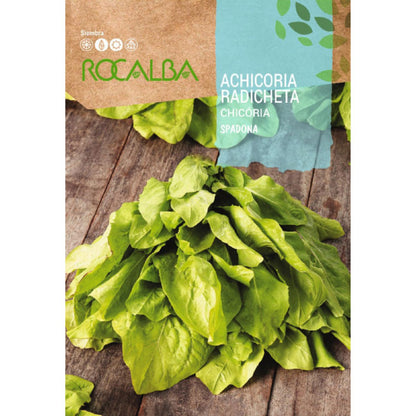 Sementes de chicória radicheta spadona