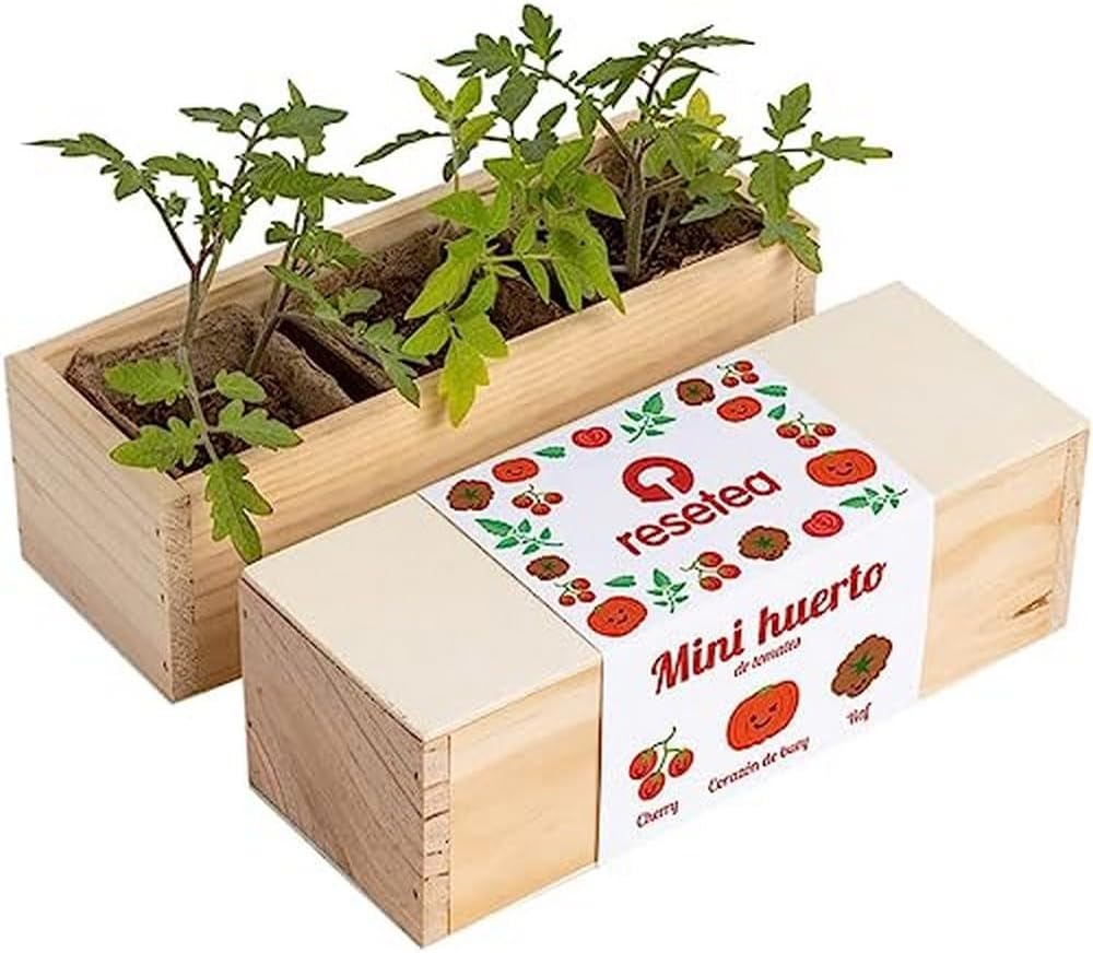 Mini Huerto de Tomates Cherry, Corazón de Buey y RAF | Huerto Urbano Fácil - Resetea_0