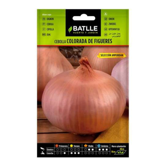Sementes de cebola roxa Figueras, Ampurdan Batlle