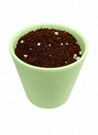Gardencentershop Sustrato Universal 20lt_3