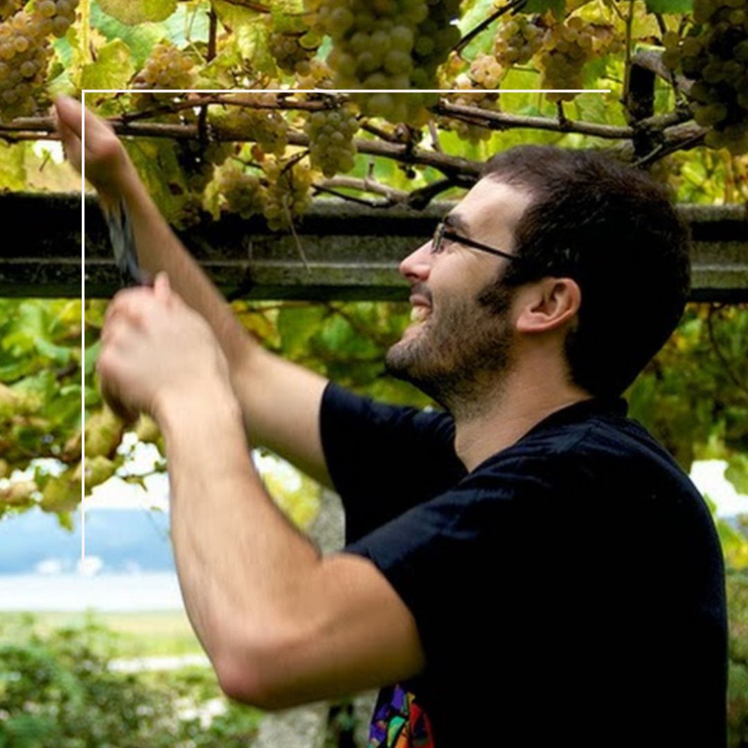 Vino Blanco - Albamar Pai Albariño 2022_1
