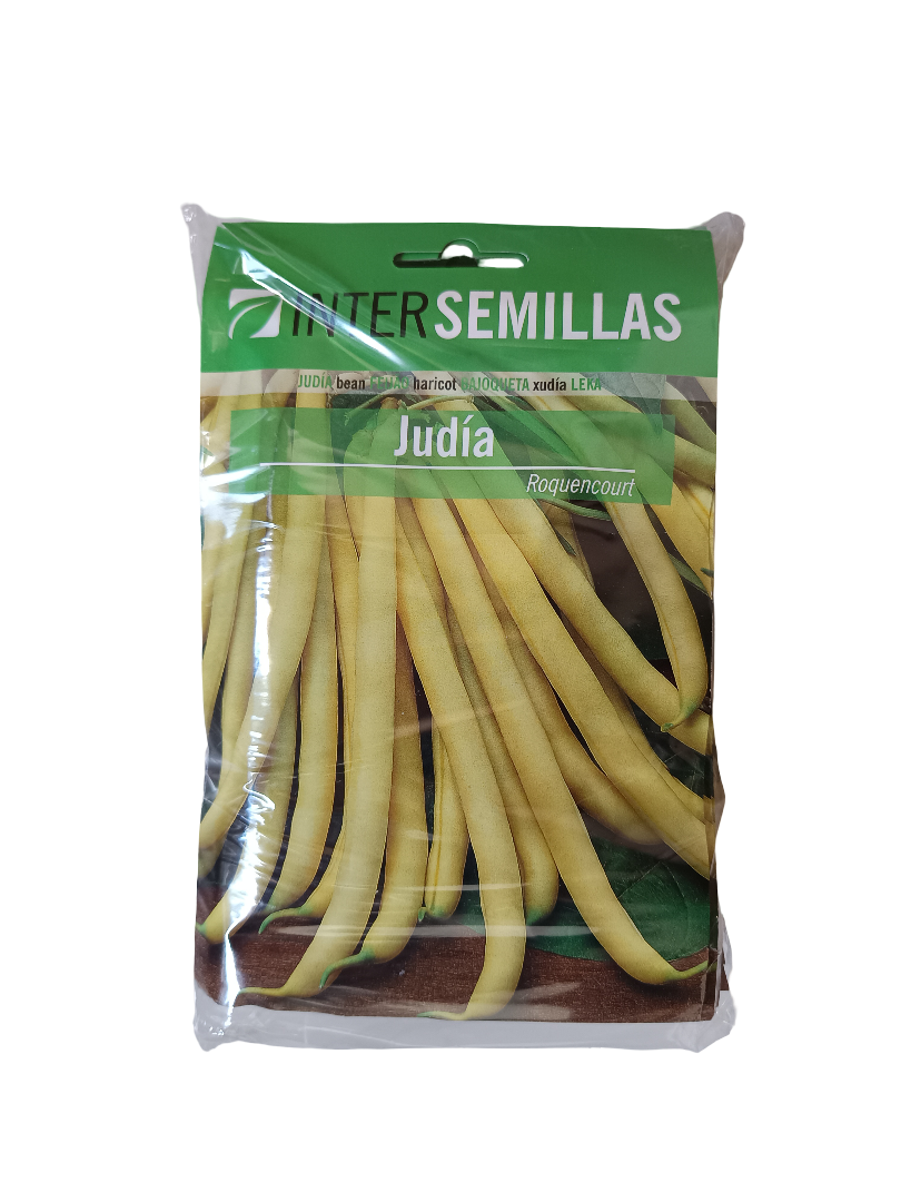 Semillas De Judia Roquencourt_0