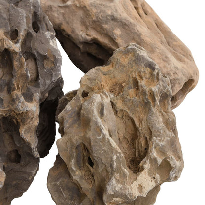 Vidaxl Piedras De Dragón Gris 10 Kg 10-40 Cm_4