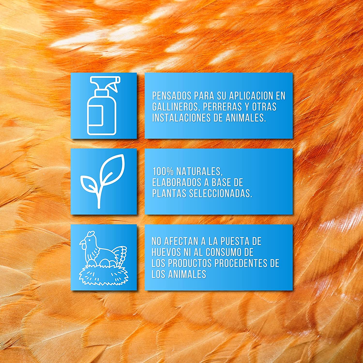 Pack De Productos Limpieza Y Desinfección Del Gallinero - Previene Piojos Y Ácaros - 1 L Por Producto_1