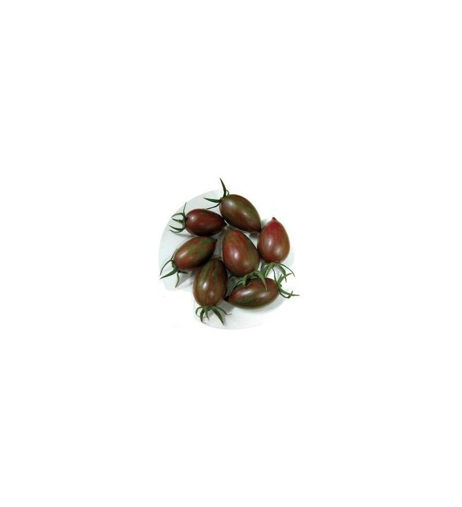 Plantón Tomate Cherry De Pera Negro (10 Unidades)_2