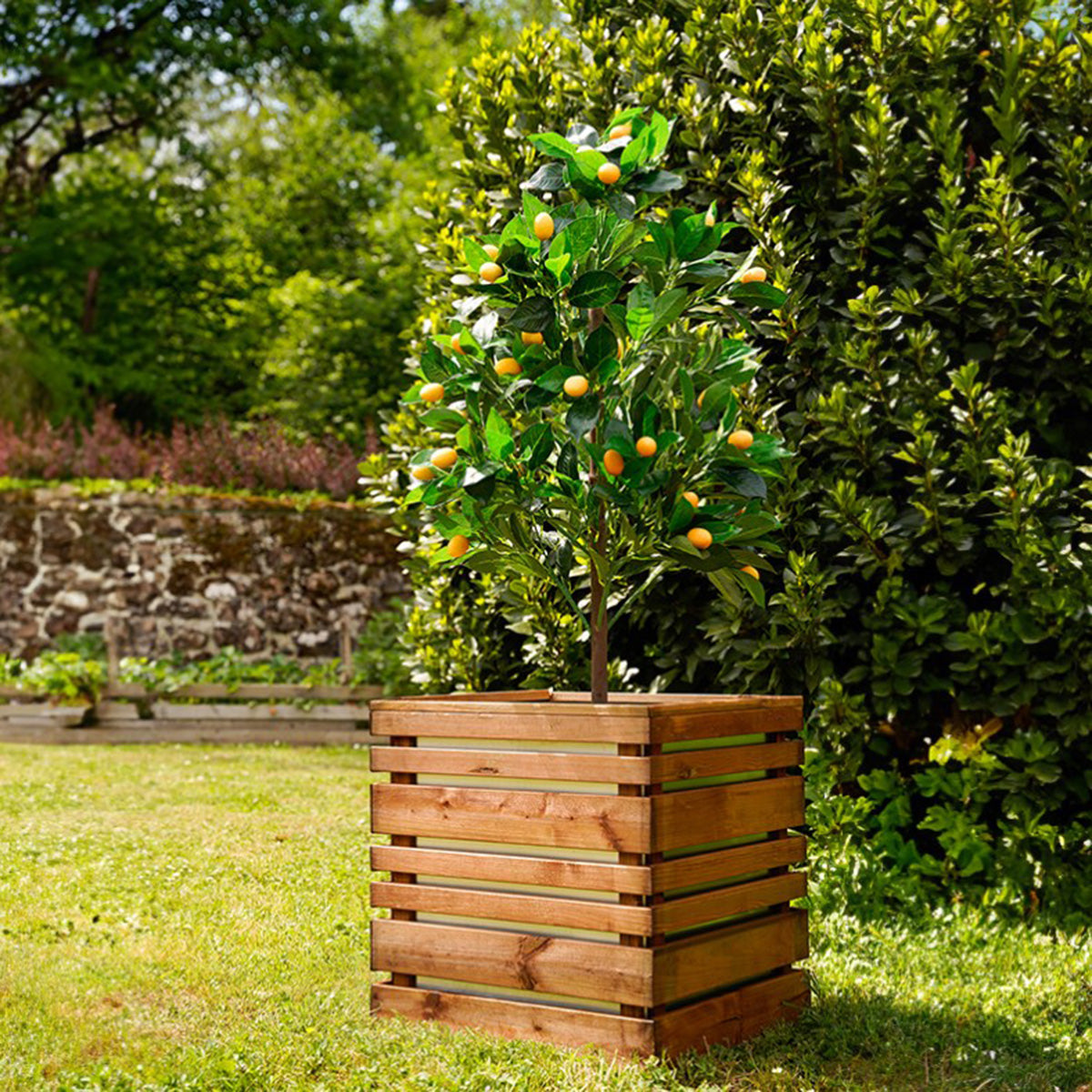 Vaso quadrado 50 Lign Z 95 L