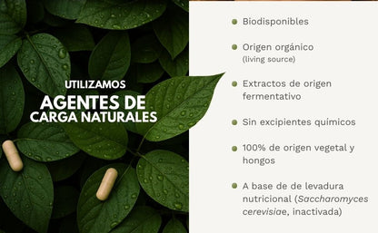 VITAB Biodisponible Energy Feelings cápsulas (90ud/500mg)