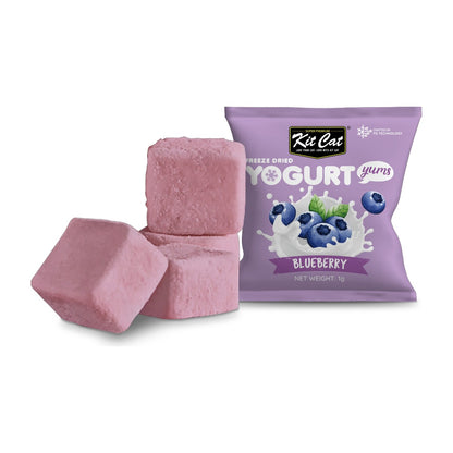 Kit Cat Yogurt Yums Liofilizado Arándano 10g (10 unidades)