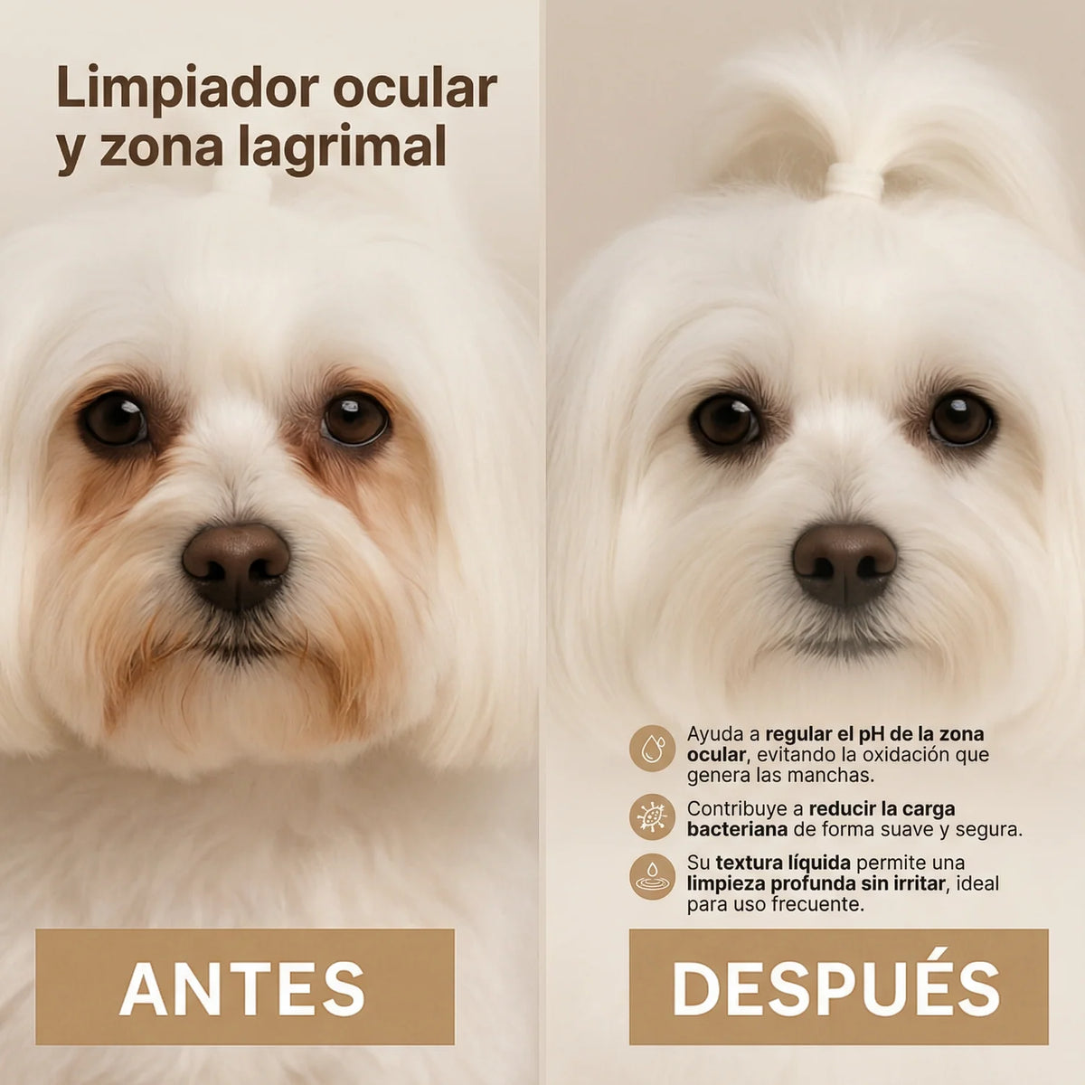 Limpiador ocular para perros Masco Beauty 30 ml