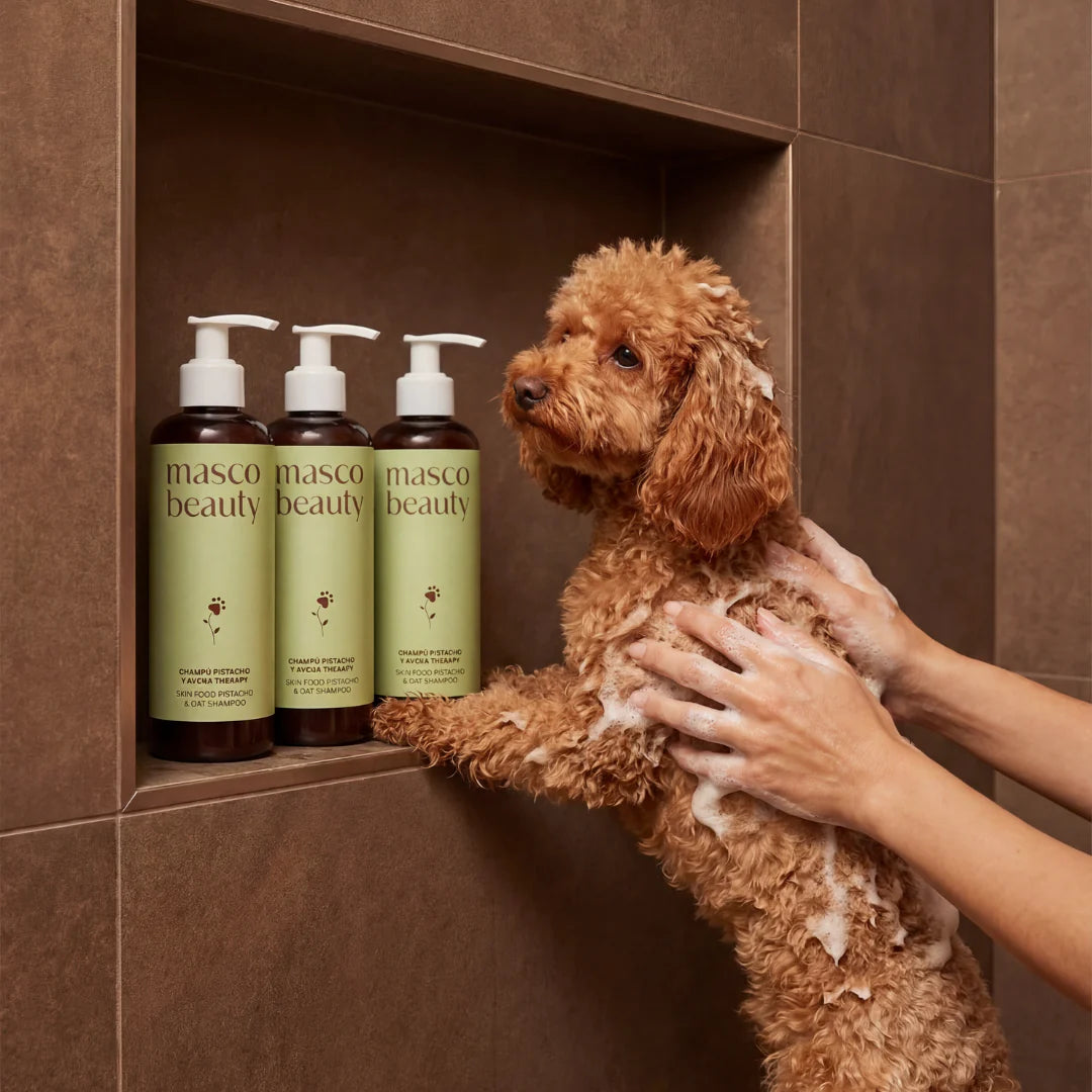 Champú para perros con avena y pistacho Masco Beauty 250 ml
