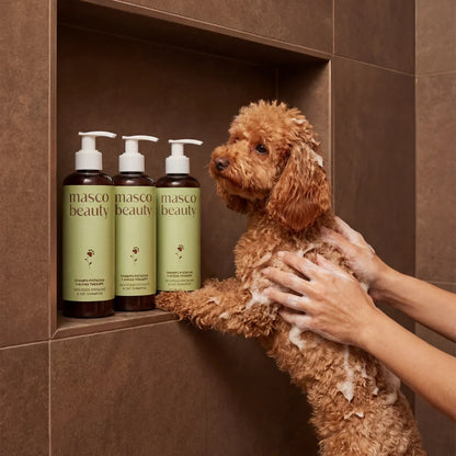 Champú para perros con avena y pistacho Masco Beauty 250 ml