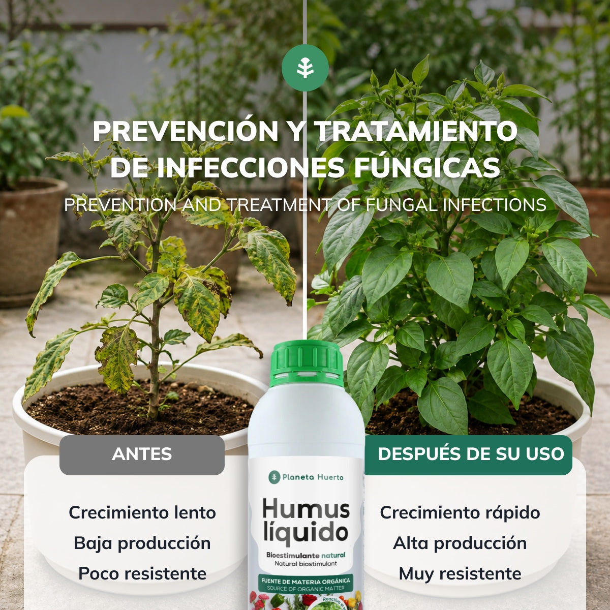 Humus Líquido Concentrado Bioestimulante Natural 1L Planeta Huerto