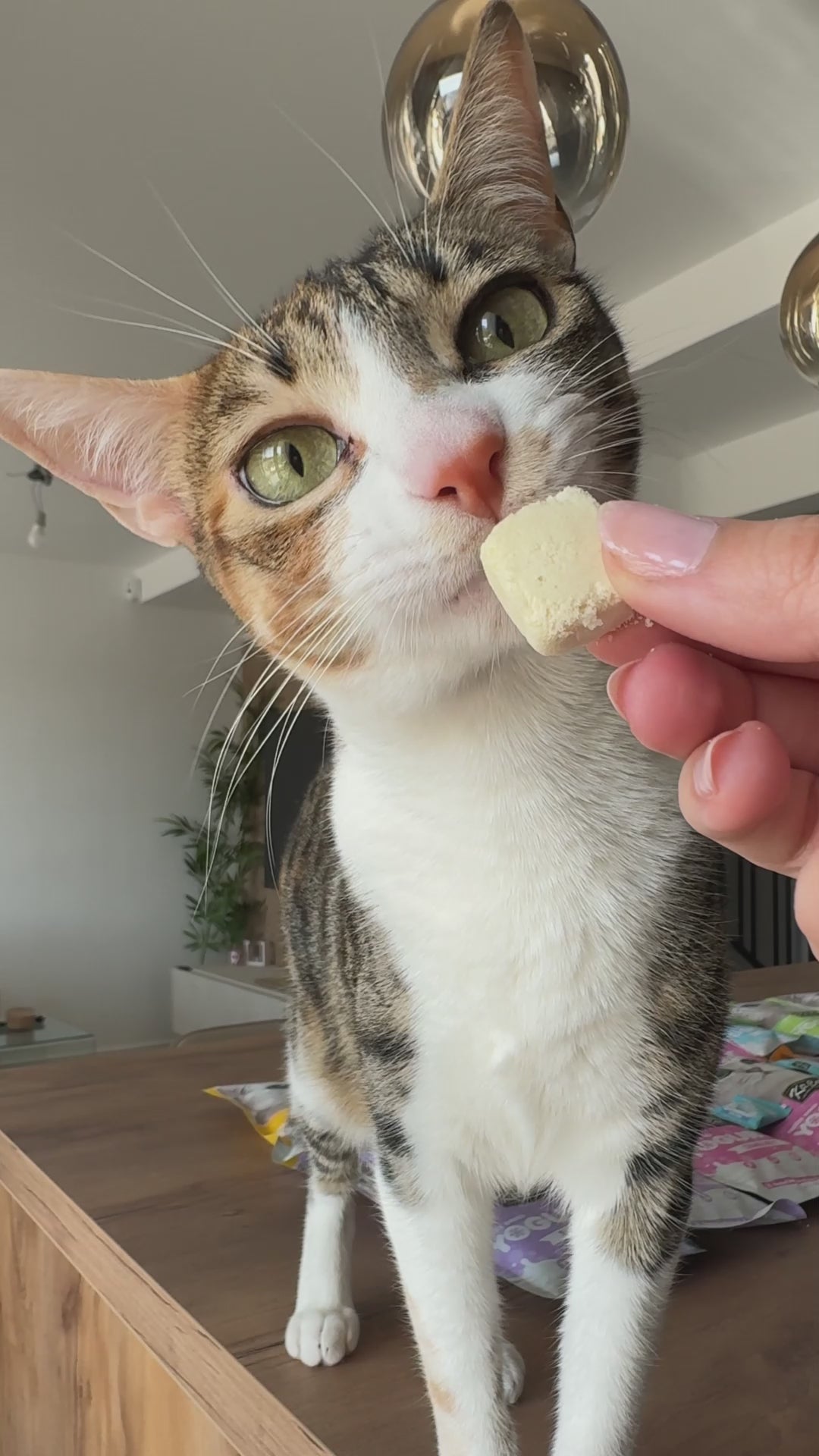 Kit Cat Yogurt Yums Liofilizado Original 10g (10 unidades)