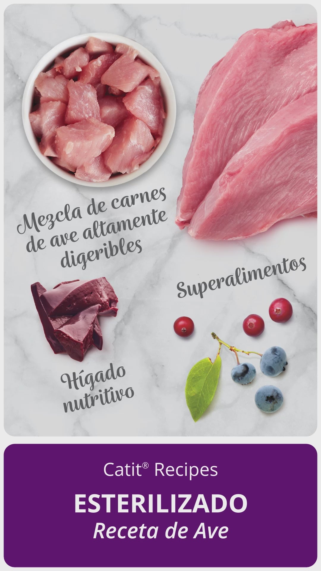 Pienso para gatos esterilizados con aves Recipes 400 g Catit