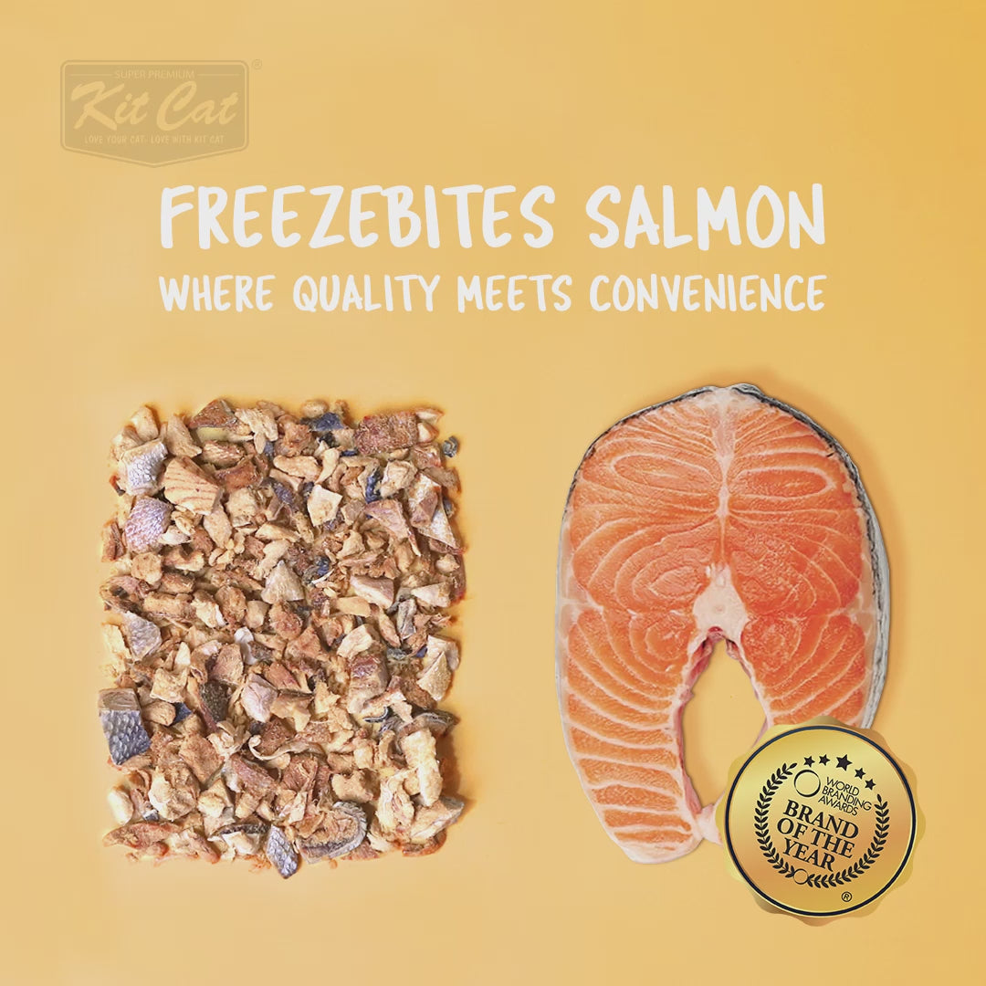 Kit Cat FreezeBites - Salmão 15 g Petisco natural liofilizado para gatos