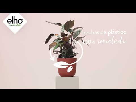 Vaso redondo Jazz branco sedoso Elho 19 cm