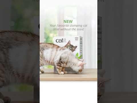 Arena Guisante Go Natural Sin Aroma Catit 5,6kg