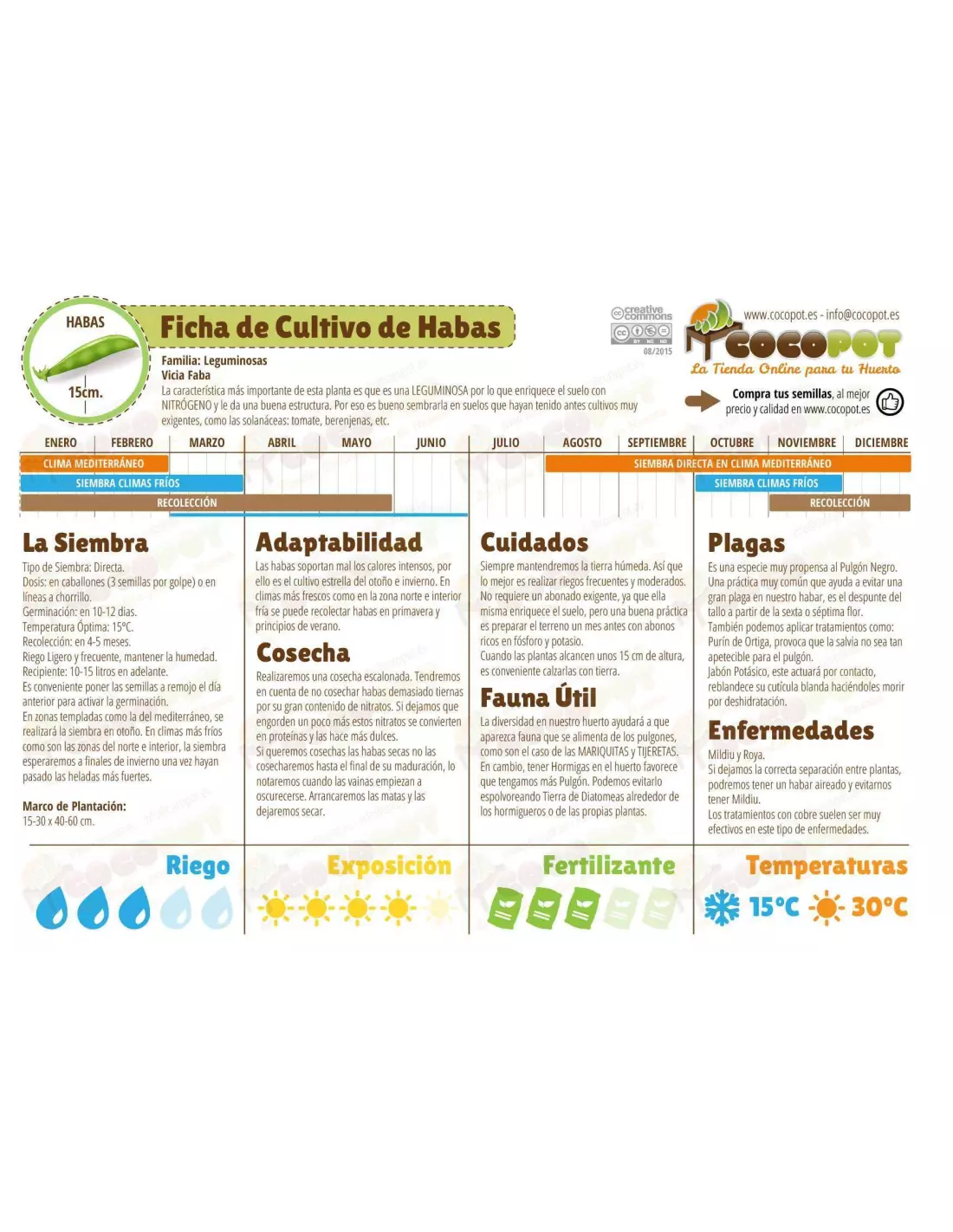 Sementes de Fava Aguadulce Selecionadas Batlle Acualonga 100g