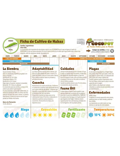 Sementes de Fava Aguadulce Selecionadas Batlle Acualonga 100g