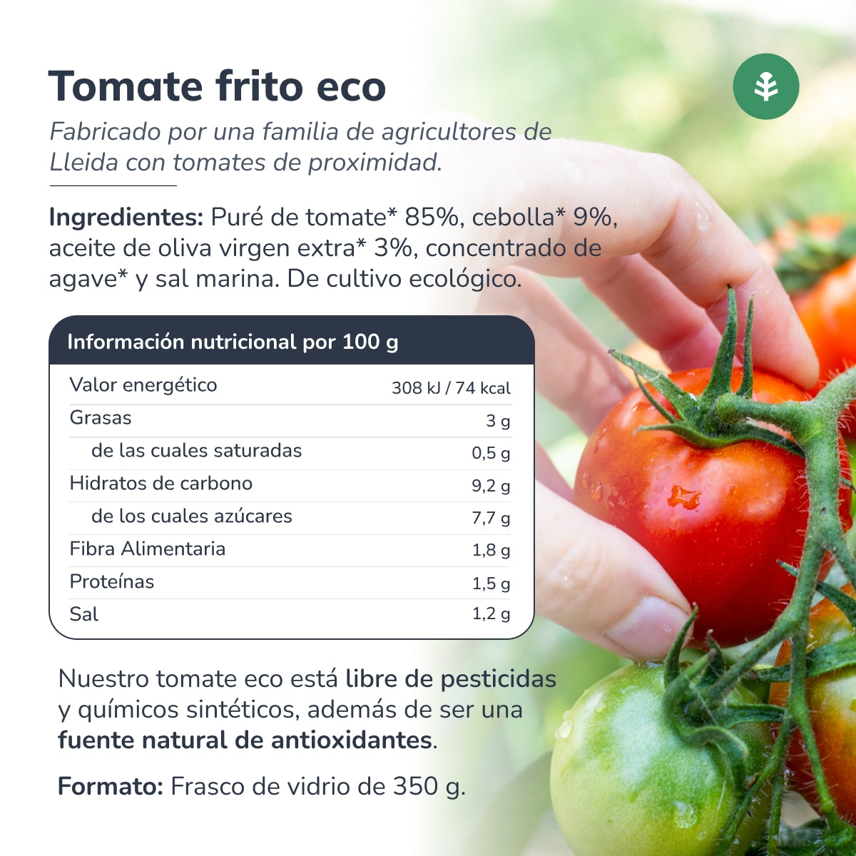 Tomate Frito Biológico Planeta Huerto 350 g