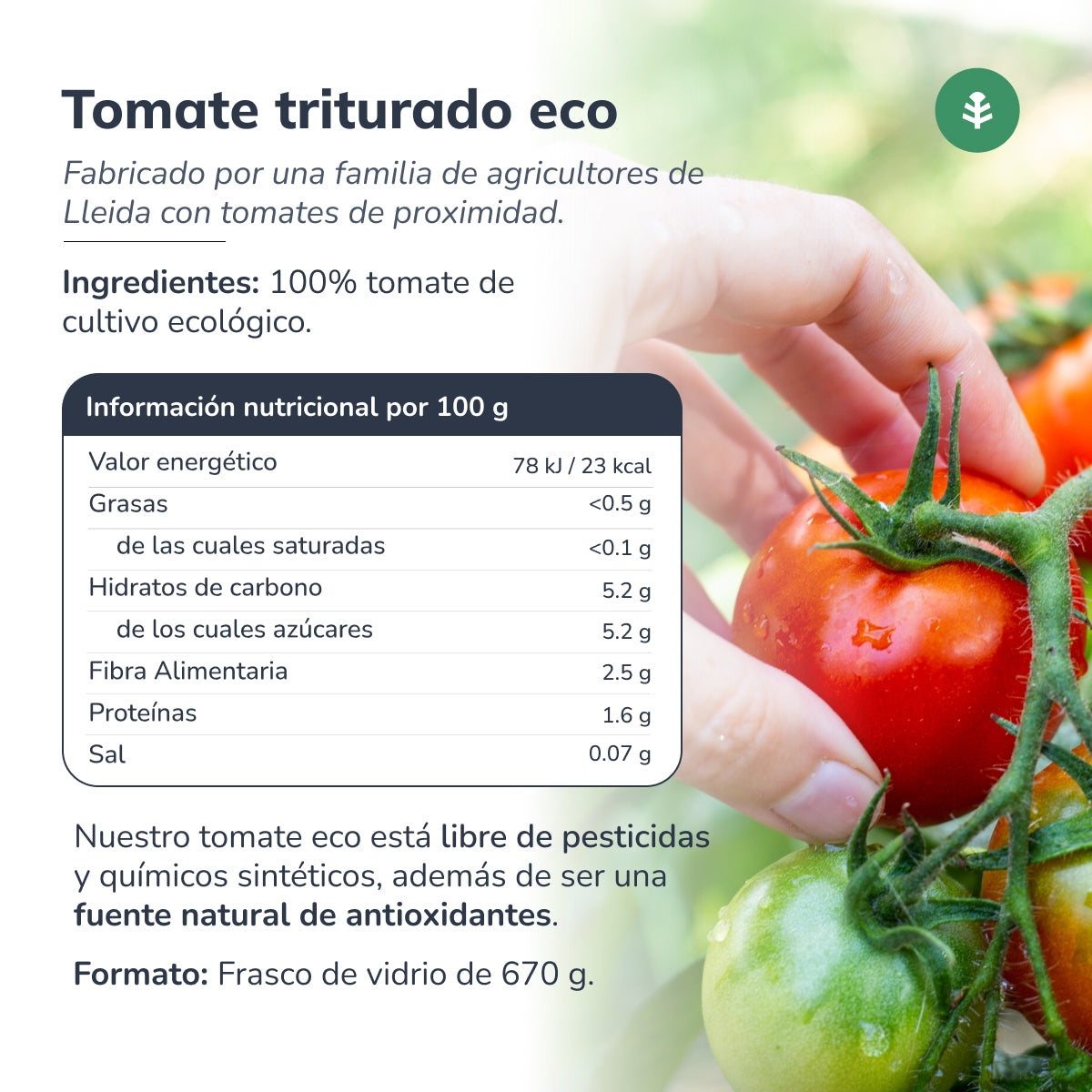 Tomates Triturados ECO Planeta Huerto 670 g